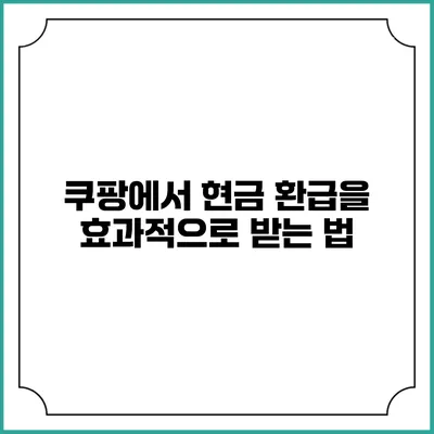 쿠팡에서 현금 환급을 효과적으로 받는 법
