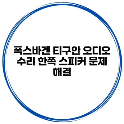 폭스바겐 티구안 오디오 수리 한쪽 스피커 문제 해결